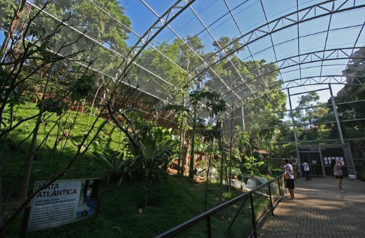 Brazil Salvador Salvador Zoo and Botanical Park Salvador Zoo and Botanical Park South America - Salvador - Brazil