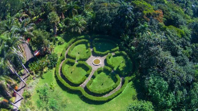 Paraguay Asuncion Botanical Garden Botanical Garden Asuncion - Asuncion - Paraguay