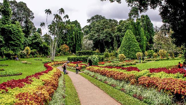 Paraguay Asuncion Botanical Garden Botanical Garden Asuncion - Asuncion - Paraguay