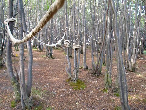 Argentina Ushuaia Yatana Park Yatana Park Tierra Del Fuego - Ushuaia - Argentina