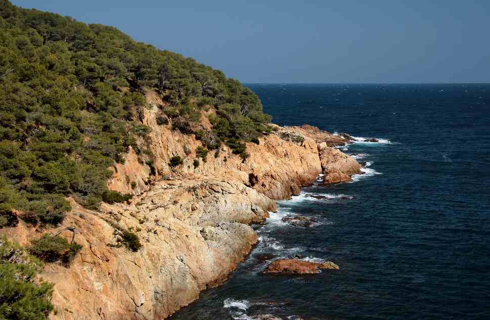 Spain  Cala Pedrosa Beach Cala Pedrosa Beach Cala Pedrosa Beach -  - Spain