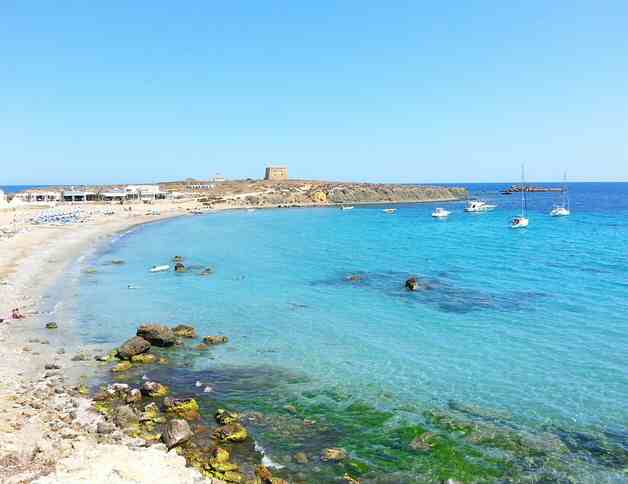 Spain  Tabarca Beach Tabarca Beach Tabarca Beach -  - Spain