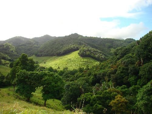 Mauritius  Ferney Valley Ferney Valley Mauritius -  - Mauritius