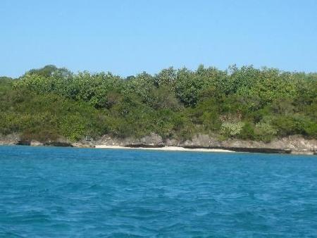 Ile aux Aigrettes