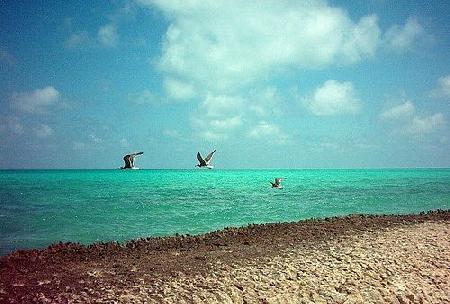 Djibouti