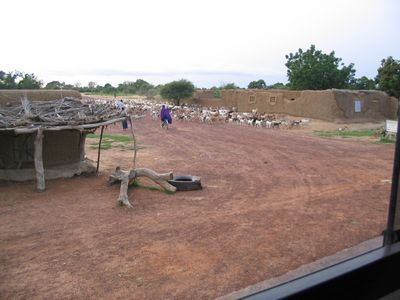 Mopti