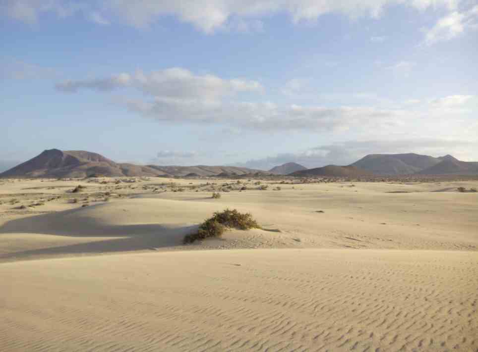 Spain  Corralejo Corralejo Fuerteventura -  - Spain