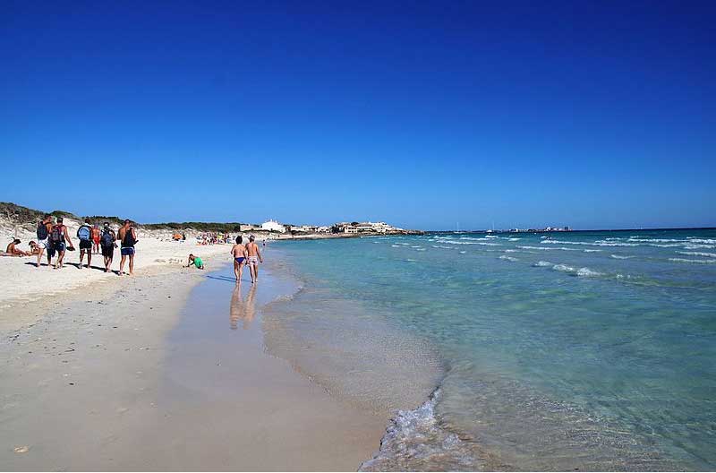 Spain  Sa Rápita Sa Rápita Sa Rápita -  - Spain