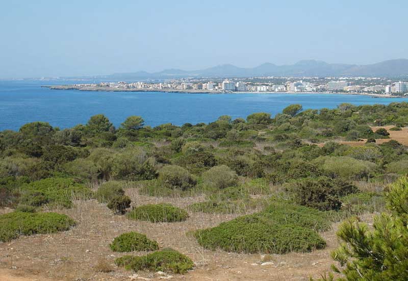 Spain  Sant Llorenc Des Cardassar Sant Llorenc Des Cardassar Sant Llorenc Des Cardassar -  - Spain