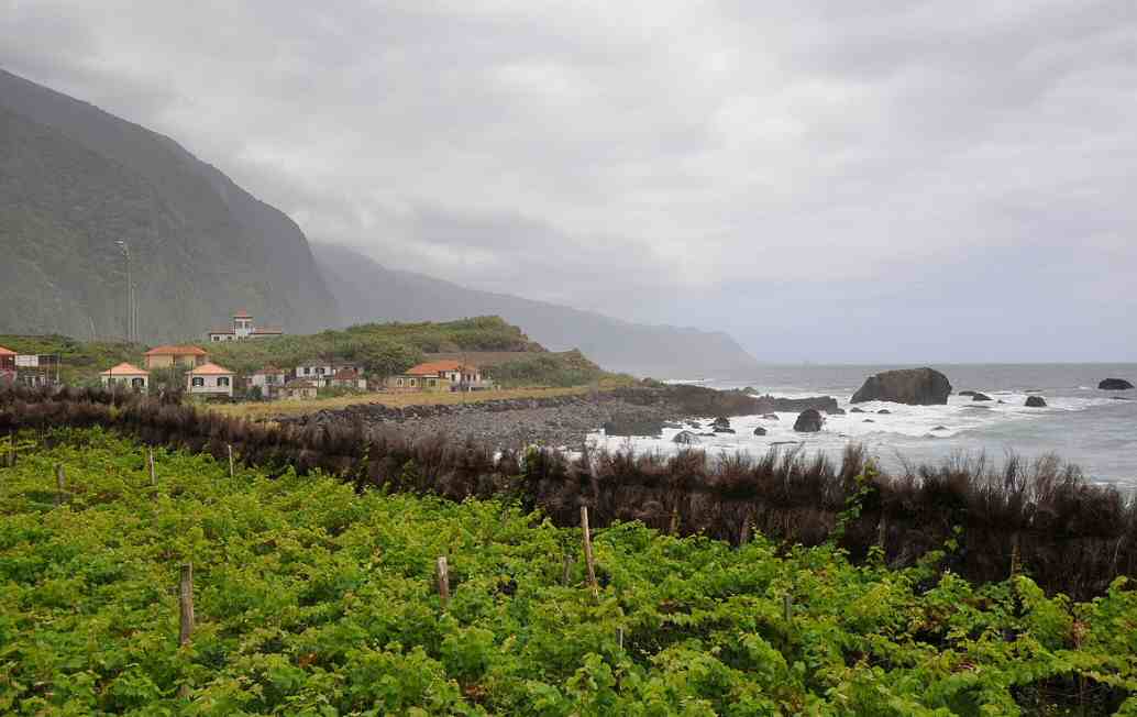 Portugal  Sao Vicente Sao Vicente Madeira -  - Portugal