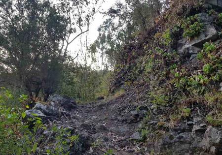 بارانكو د ال لاورل