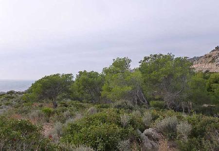 Balearic Islands