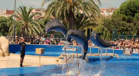 Marineland Catalunya