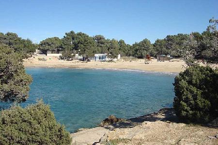 زياره بورت دس تورنت