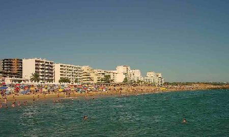 Loule