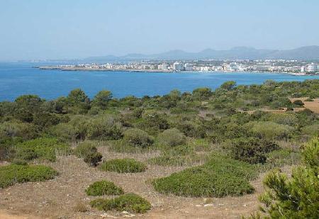 Sant Llorenc Des Cardassar