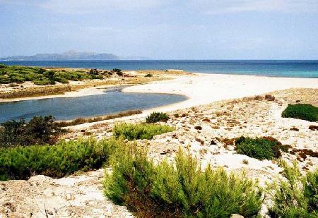 سانتا مارجاليدا سانتا مارجاليدا