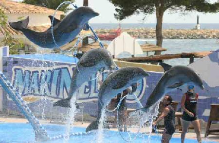 Marineland Dolphinarium