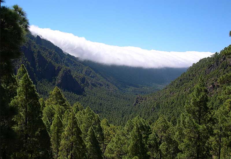 Spain Santa Cruz De Tenerife Masca Valley Masca Valley Santa Cruz De Tenerife - Santa Cruz De Tenerife - Spain