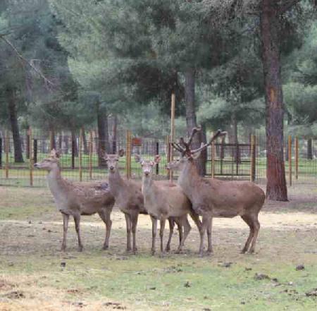 Naturcampa farm school