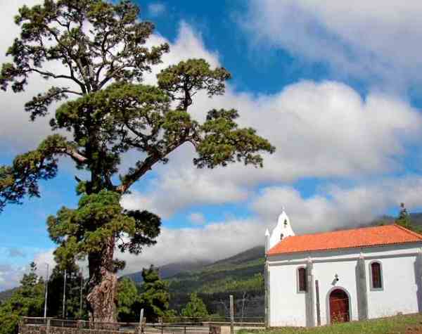 Spain El Paso la Virgen del Pino Hermitage la Virgen del Pino Hermitage El Paso - El Paso - Spain