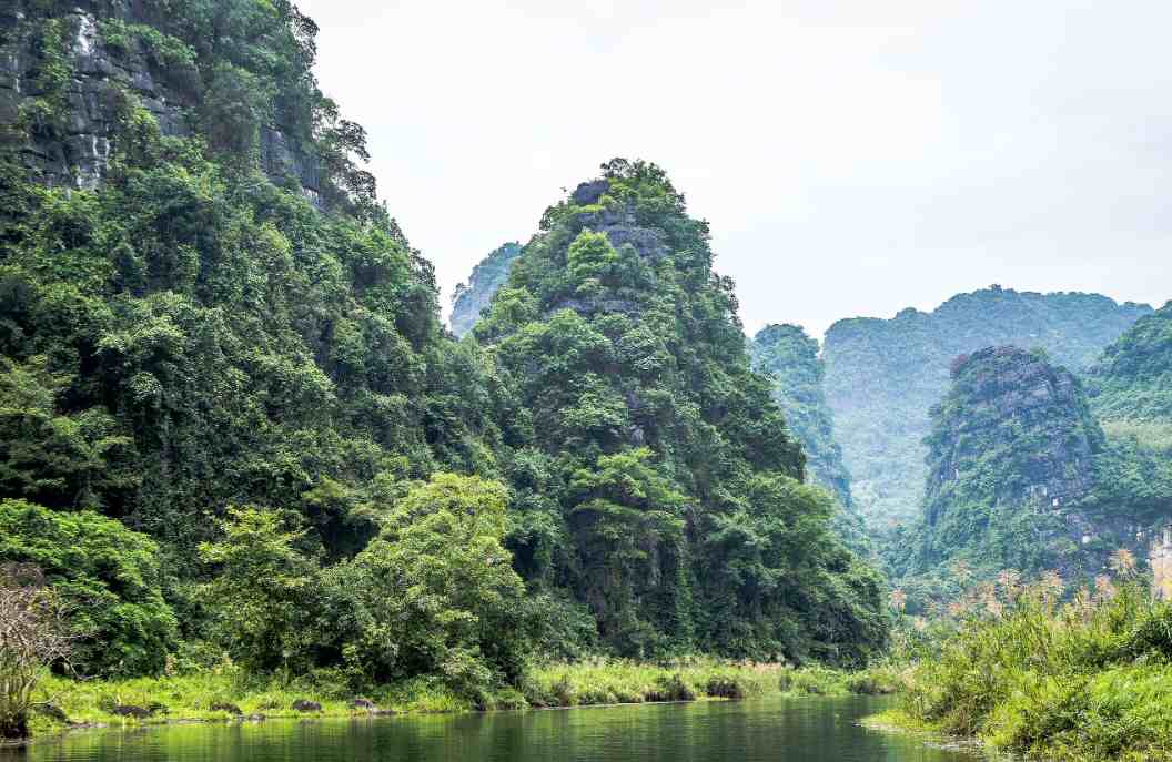 Vietnam  Ninh Binh Ninh Binh Vietnam -  - Vietnam