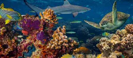 Acuario de Lanzarote