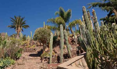 Cactualdea Park