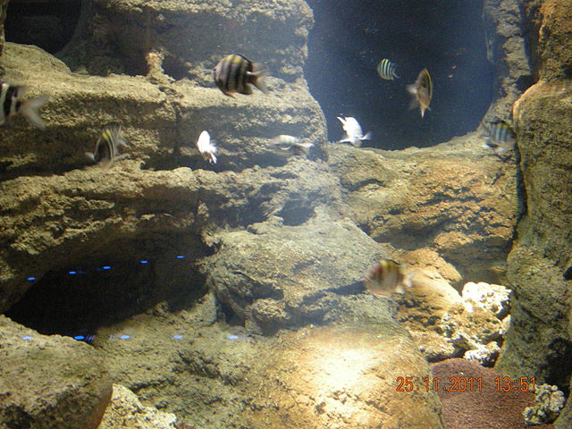 Turkey Istanbul Istanbul Aquarium Istanbul Aquarium Istanbul Aquarium - Istanbul - Turkey