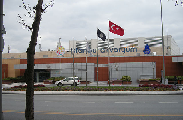 Turkey Istanbul Istanbul Aquarium Istanbul Aquarium Istanbul - Istanbul - Turkey