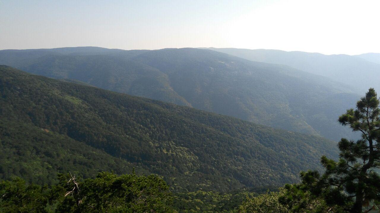 Turkey Canakkale Kaz Dagi National Park Kaz Dagi National Park Canakkale - Canakkale - Turkey