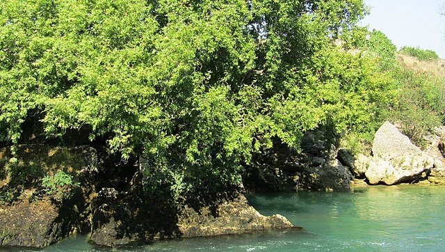 Turkey Side Manavgat Waterfall (Manavgat Selalesi) Manavgat Waterfall (Manavgat Selalesi) Turkey - Side - Turkey