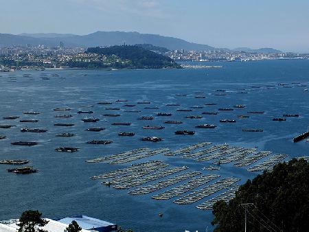 Ría de Vigo