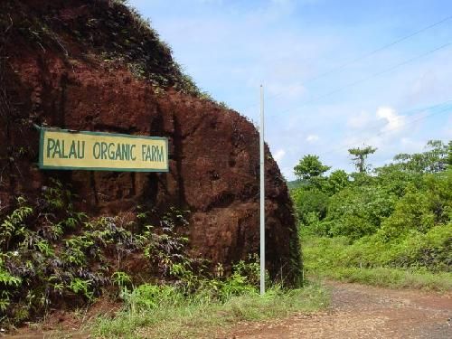 Palau  Babeldoab Island Babeldoab Island Ngchesar -  - Palau