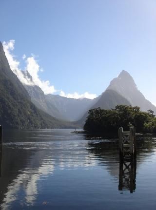 New Zealand  Milford Sound Island Milford Sound Island Milford Sound Island -  - New Zealand