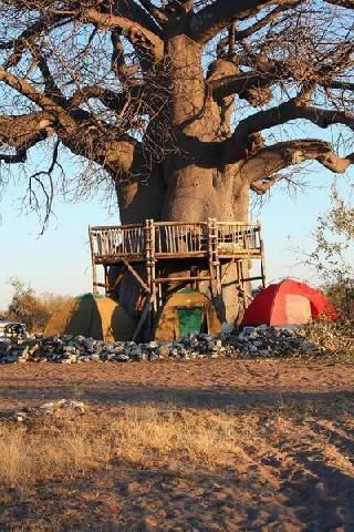 Namibia Katima Mulilo  Kaudom Animal Reserve Kaudom Animal Reserve Caprivi - Katima Mulilo  - Namibia