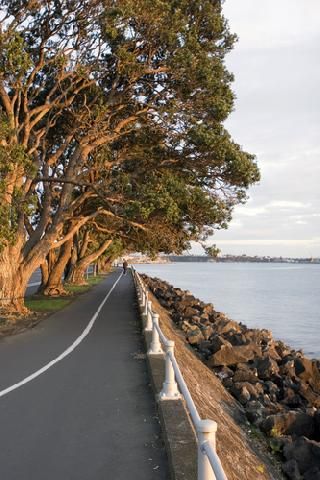New Zealand Auckland  Tamaki drive y Orakel Tamaki drive y Orakel Australia & Pacific - Auckland  - New Zealand
