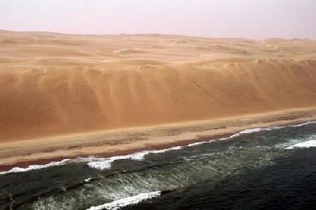  ارنل
