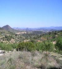 Best offers for Fuente El Taif  2 Elche De La Sierra