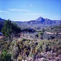 أفضل العروض ل  دوس اغواس