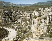 أفضل العروض ل منزل بيثينتيكا روسيلدوس