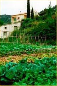 أفضل العروض ل منزل راكو دي لوم انديله