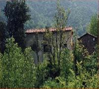 أفضل العروض ل كال كسيكوت بيجودا