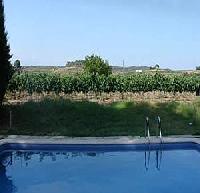 أفضل العروض ل  توريلافيت