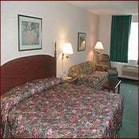 أفضل العروض ل  لا جراند 