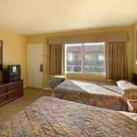 أفضل العروض ل ترافلودجى إل كاجون 