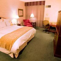 أفضل العروض ل  فورت وورذ 