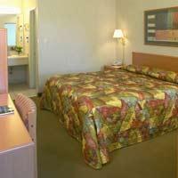 أفضل العروض ل فاجابوندان تشالا فيستا تشولا فيسانت