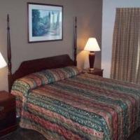 أفضل العروض ل كنيفتسان مودسانت