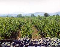 Best offers for Cal Manou El Pla Del Penedes